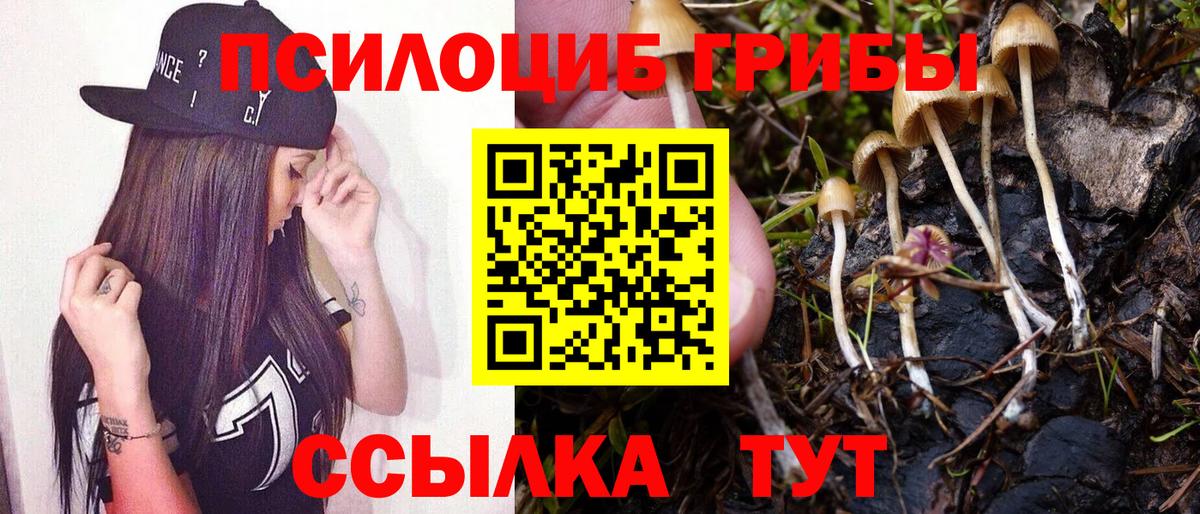 Губаха  Псилоцибиновые грибы Psilocybine cubensis  Вход с VPN 