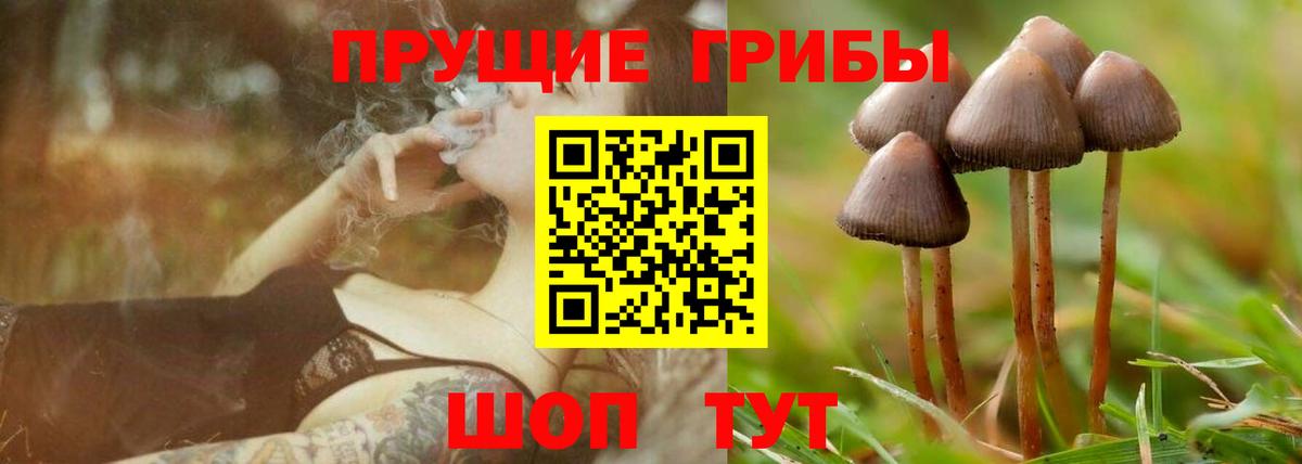 Галлюциногенные грибы мухоморы Губаха